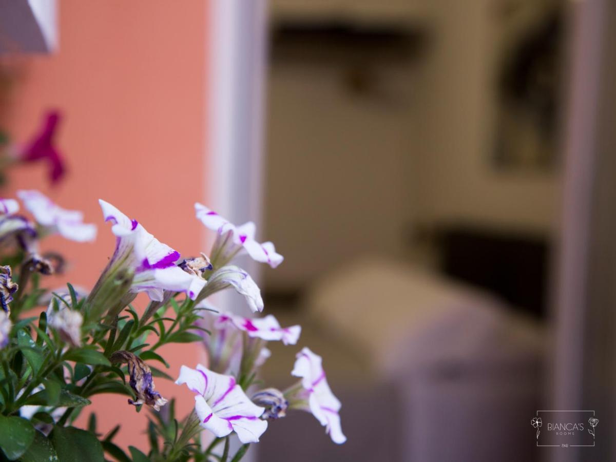 Bianca'S Rooms Trani Exteriér fotografie